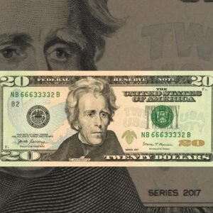 Fake Twenty Dollar Bill